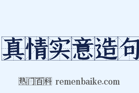 真情实意造句是什么意思的图片